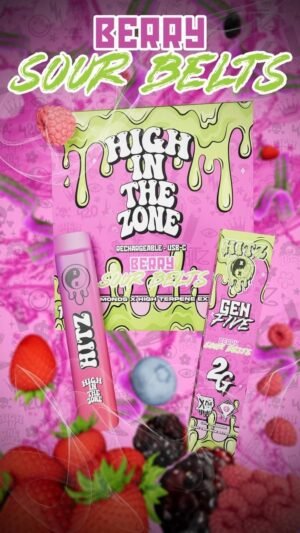 Hitz Berry Sour Gen 5 Disposable, Hitz Gen 5 2g disposable