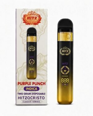 Hitz Purple Punch Classic Series Disposable